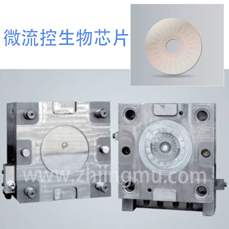 Microfluidic Biochip Parts Customization Case